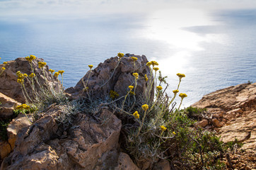 Navagio bay and Ship Wreck beach in summer. The most famous natural landmark of Zakynthos, Greek island
