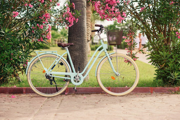 Fototapeta na wymiar Vintage women's bike near green bushes with flowers