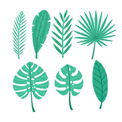 set of green tropical leaves. vector illustration