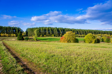 Fototapeta premium Beautiful rustic autumn landscape in Russia