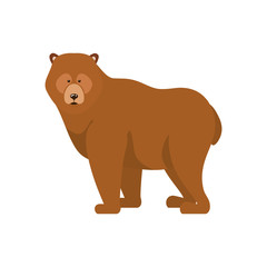 Isolated bear forest animal design