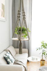 Stylish and boho home interior of living room with wooden shelf, gray sofa, design and elegant accessories, hand made macrame shelf planter hanger. Botany and minimalistic gray home decor with plants.