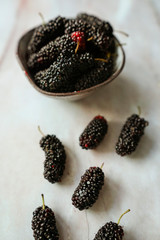 Fresh blackberries in a bowl on marble background