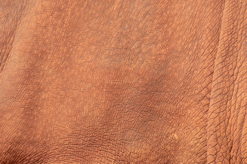 White rhino leather.