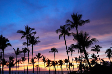 Fototapeta na wymiar A view of hawaiian sunset displaying sky covered with various colors of purple and orange and the silhouette of palm trees.