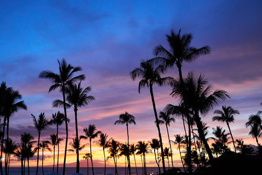 A view of hawaiian sunset displaying sky covered with  various colors of purple and orange and the silhouette of palm trees.