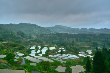 rice terraces in japan