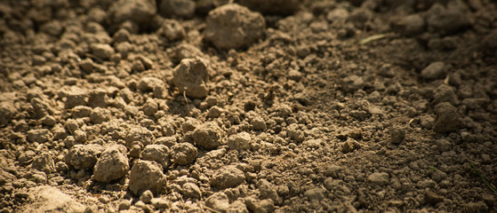Clods of dry brown ground