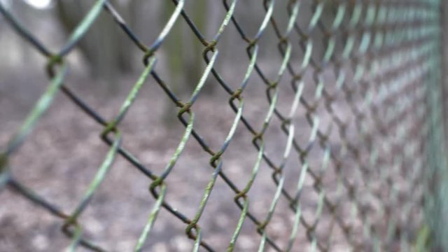 Rusted Fence Close-Up Shallow Focus