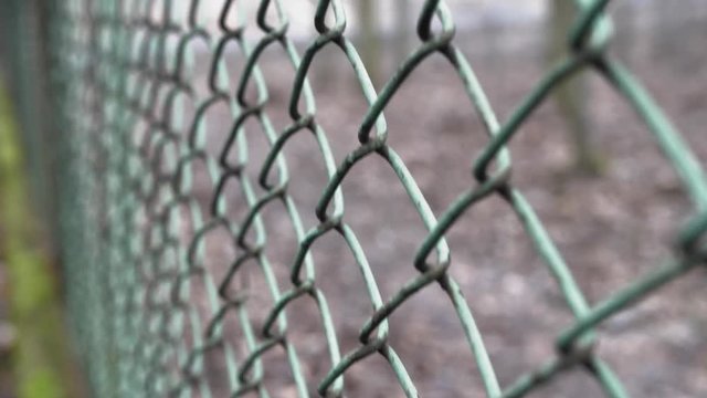 Rusted Fence Close-Up Shallow Focus