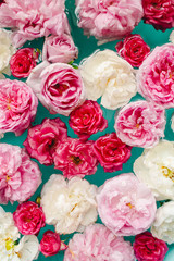 stunning floral texture of colorful roses in water on blue background