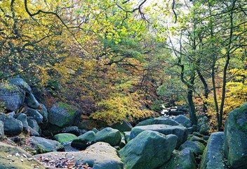 Stream through Padley Gorge, Grindleford, Derbyshire
