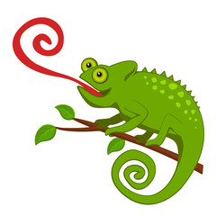 Chameleon with a long tongue sitting on a branch.