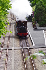 走る蒸気機関車