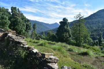 himalaya nature in panwali bugyal