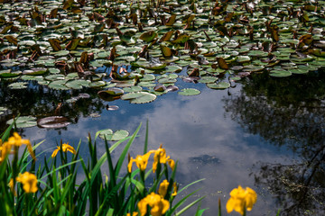 Ботанический сад СПБ
