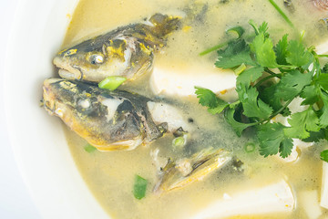 Chinese gourmet fish soup, a large bowl of yellow bone fish tofu soup on a white background