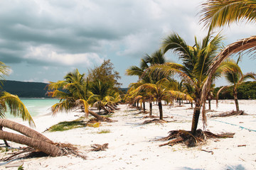 Palm trees and white sandy beach in Koh Rong island, Cambodia