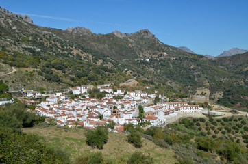 Fototapeta na wymiar アンダルシアの白い村（スペイン・アンダルシア）