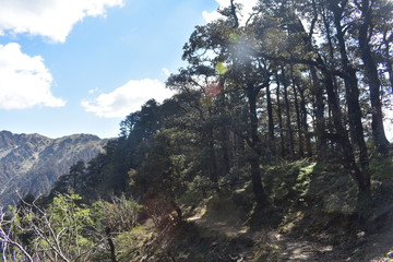 himalaya nature in panwali bugyal
