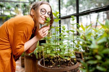 Young woman taking care of plants, growing herbs and flowers in the beautiful greenhouse © rh2010