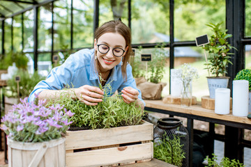 Young woman taking care of plants, growing herbs and flowers in the beautiful greenhouse or flower...