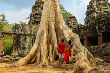 Banyan tree in Ta Prohm temple, Siem Reap, Cambodia