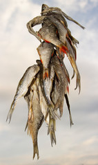 The photo of dry fish bunch on the sky with clouds backdrop