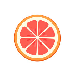 slice of Grapefruit, fruit pattern vector illustration sketch isolated on white background