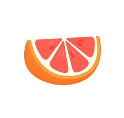 slice of Grapefruit, fruit pattern vector illustration sketch isolated on white background