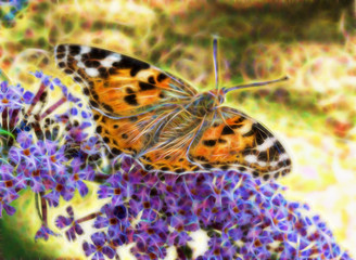 fractal picture of big beautiful butterfly