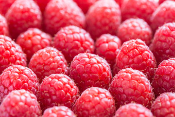 raspberries pattern