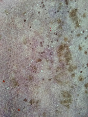 watercolor pink purple abstract background. colored splashes texture