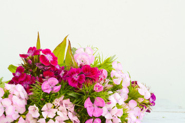  A bouquet of pink and purple flowers of Turkish carnation closeup on a wooden table on a white background