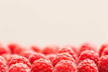 closeup shot of fresh raspberries lit with the daylight from behind; some white space above on the photo