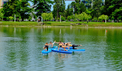 Fototapeta na wymiar Yoga on sup board. Young girls paddling on SUP board on the lake at city. Group women is practicing (doing) yoga, fitness, pilates and meditation on a SUP board. Awesome active training in outdoor. 