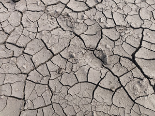 Area of Dried Land Suffering from Drought, ground cracks.