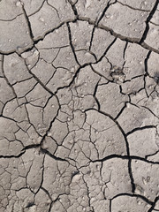 Area of Dried Land Suffering from Drought, ground cracks.