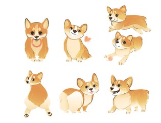Obraz na płótnie Canvas Set of Welsh Corgi dog standing and sitting in different poses cartoon style