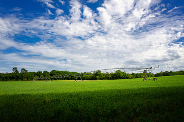 Pivot sprinkler irrigation system