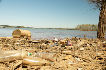 Polluted Shoreline on West Point Lake in LaGrange Georgia