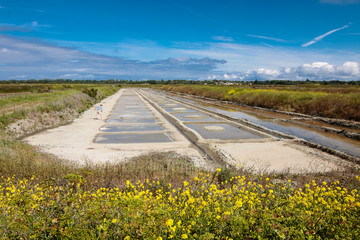 Salins de l'Ile de Ré