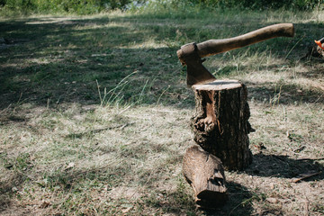 The ax is stabbed with a blade into the stump. Axe for removing tree stumps roots