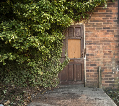 Old Overgrown Wooden Door