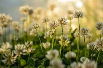 Obraz premium wonderful world around us