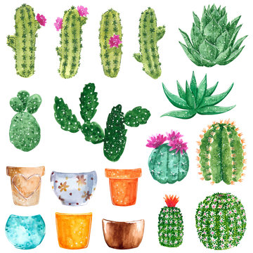 Clipart set with green cactuses blooming with pink and orange flowers and clay pots, hand drawn watercolor illustration isolated on white