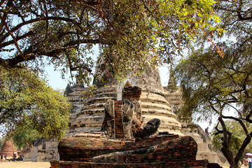 Fototapeta premium Wat Phra Sri Sanphet Temple with stupa in Ayutthaya, Thailand