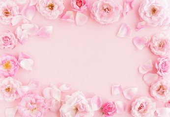 Flowers composition background. beautiful pale pink roses on pale pink    background.Top view.Copy space