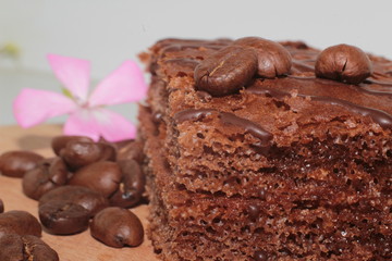 chocolate cake with chocolate and nuts