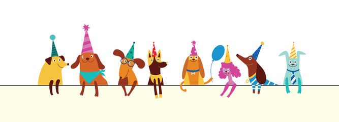 Funny dogs of different breeds in cones hats for party or birthday concept.